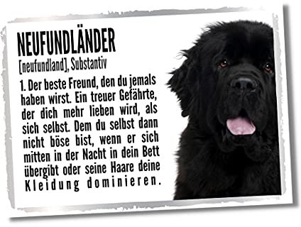 Neufundländer Duden Hund Dog Schild Spruch Türschild Hundeschild Warnschild Fun Geschenkidee lustiger Spruch Hundemotiv Aluminium Wetterfestes Hundeschild