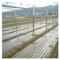 EVANEM 0,95 × 10 M, 5 Löcher, 0,02 Mm, Schwarze Mulchfolie Mit Löchern, Mulchfolien, for Gartenpflanzen, Perforierte PE-Folie Aus Kunststoff for Mulchen