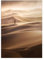 Displate - Poster aus Metall - Magnet-Montage - World Class Photos - Landscapes - Dune 45 cm x 32 cm