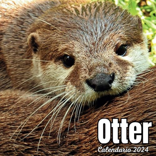 Otter Calendar 2023: September 2023 to December 2024 Monthly Weekly Organizer To Keep Track Of Dates , For All Ages