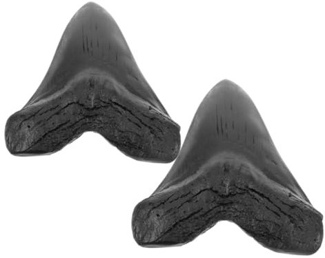 ORFOFE Megalodon Haifischzahn Modell Aus Kunstharz Simulierte Fossile Riesenzähne Tischdekoration Für Sammler Und Bildung Lichtecht Und Widerstandsfähig