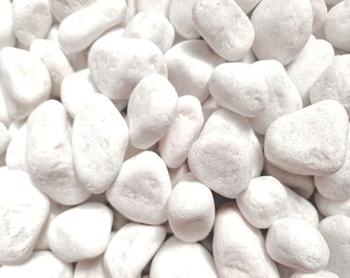 Piedras Canto Rodado Blanco 20-40 mm 8 kg Decoración Jardín, Macetas y Acuarios | Piedras Naturales para Exterior e Interior (8 Kg)