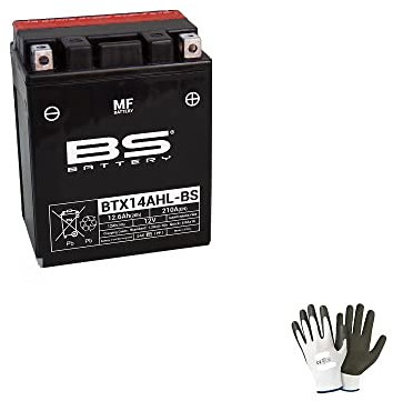 Compatible with TRIUMPH Daytona (T595) (503) 955 from 1996 to 1998 Battery Ready to Use YTX14AHL-BS Fully Sealed Active 12 Ah Amp. 12 V 133 x 90 x 164 mm