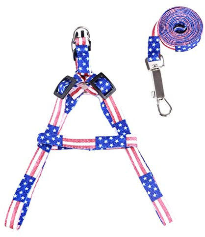 Einziehbare Hundeleine, Haustier Welpen Katze verstellbares Geschirr mit Blei Leine Spielzeug Leine Kette Halsbänder interaktives Spielzeug Hundeleine