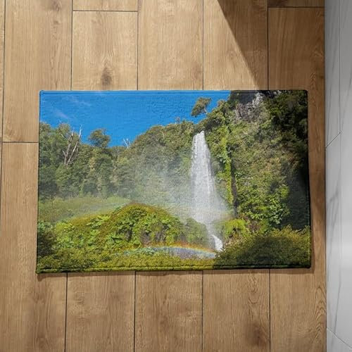 CEVAN Fußmatte Innen Schmal Flache Fussmatte Innen Extra Dünn Fallen Schmutzfangmatte Zelt Fussmatte Waschbar 50x80cm