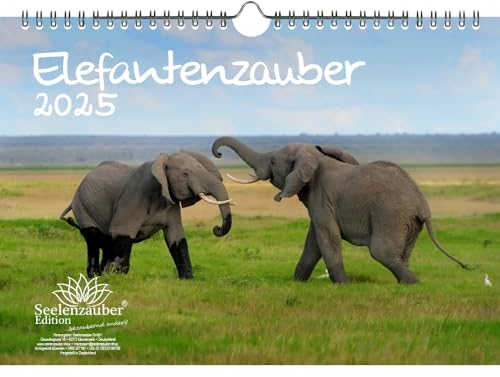 Elefantenzauber DIN A4 Kalender für 2025 Elefanten - Seelenzauber