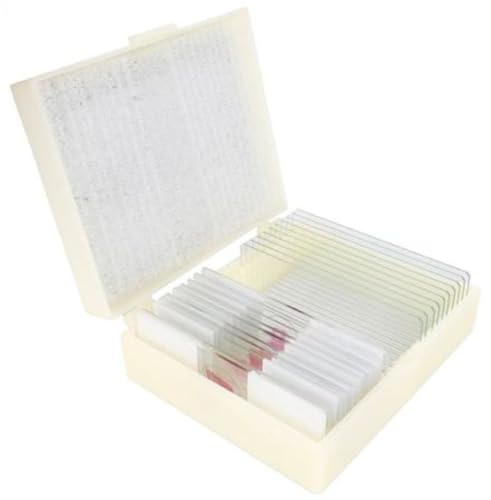 KONUS | Nr. 10 vorbereitete Microscope Slides: Biologie 2 - Der menschliche Körper - Normale Gewebe 2