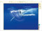 CALVENDO Puzzle Unterwasser Spielzeit 1000 Teile Lege-Größe 64 x 48 cm Foto-Puzzle Bild von Travelpixx.com