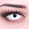 Lentilles couleur blanche - vampire zombi white. Pour Halloween, Fantaisie, Carnaval + étuis à lentilles de contact I 1 paire (2 pièces) I sans correction I 0,00 Dioptries MERALENS