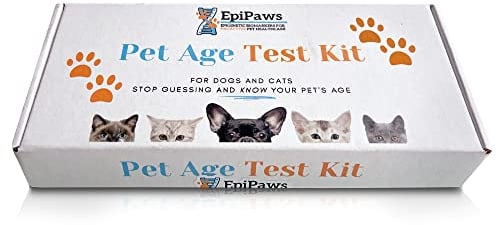 EpiPaws Alterstest für Hunde und Katzen, Epigenetischer Biomarker-Test, zu Hause, sicher, inklusive Wellnesseinblick für die Lebensstufe Ihres Haustieres, ideal für gerettete Haustiere