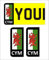 2X Wales Flag Car Number Plate Vinyl Stickers Graphics Replace Euro NP20