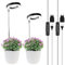 Wiaxulay Pflanzenlampe LED, 48LED Vollspektrum Pflanzenlicht für Zimmerpflanzen, 6.5-26in Höhenverstellbares LED- Pflanzenwachstumslampe mit Zeitschaltuhr 3/9/12 Std, 3 Lichter Modi und 10 Helligkeit