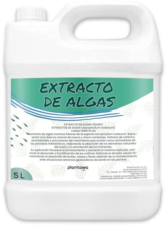 Plantawa Extracto de Algas Marinas Líquido 5 Litros | 100% Natural, Potenciador, Enraizante y Micorrizas.
