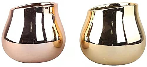 Pot de Fleur Exterieur Pots de Plantes Pot de Jardin Pots de plantes 2 paquets pour ornements de jardin en plein air Pièce maîtresse Pot de fleur doré Céramique dorée Surface lumineuse Fleur en p