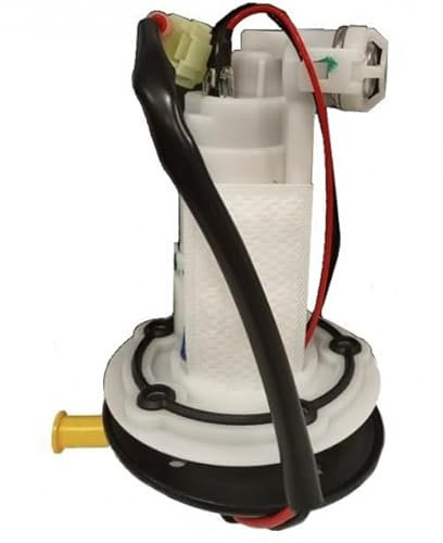 Sensor del Nivel de Combustible con Bomba de Gasolina para BEN-ELLI TRK 502 (2017-2022)