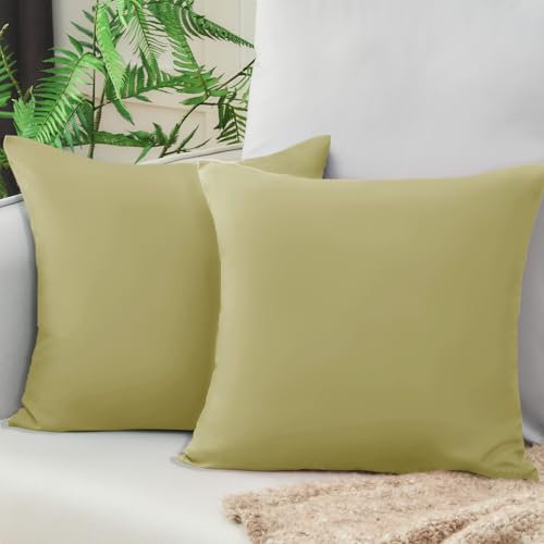 Vielit Sofa Kissenbezug 40x40 Frühling Grün Weich Kopfkissenbezug 40x40 2er Set Mikrofaser Kissenbezüge 40x40 Kissenhülle Für Kissen 40x40cm Öko-Zertifikat Resistent Hypoallergen