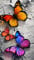 ARTGOTO Diamond Painting Eckige Steine Groß XXL Bilder Erwachsene,40x70cm Schmetterling B,5D Diamant Painting Set Viereckige Quadratische Steine mit Zubehör Für Wohnzimmer Dekoration