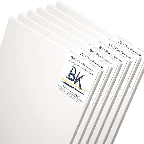 BK BILDERRAHMEN KOLMER 6 B.K. Plus LEINWÄNDE AUF KEILRAHMEN 50x50 cm | Premium Malgrund, malfertig, 100% Baumwolle
