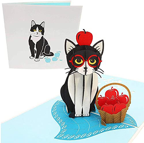 PopLife Verspielte Katzen-Pop-Up-Karte, 3D-Karte für alle Anlässe - Katzenliebhaber-Karte, lustig