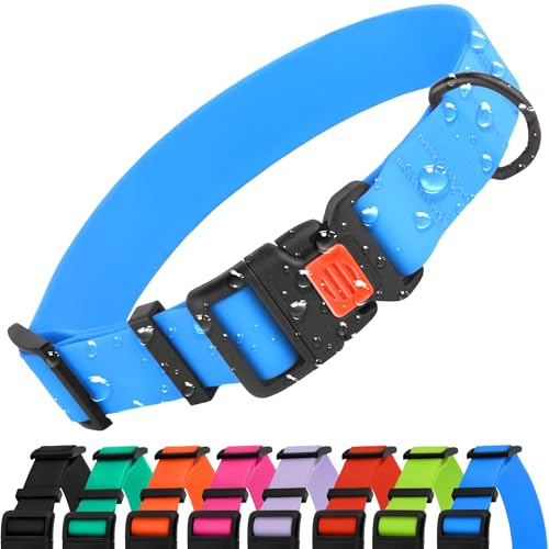 CollarDirect Wasserdichtes Hundehalsband Verstellbar – Silikon & Kunststoff, Geruchsresistent, Leicht zu Reinigen, Sicherheitsverschluss – für kleine, mittlere & große Hunde (Blau, S (25-33 cm))