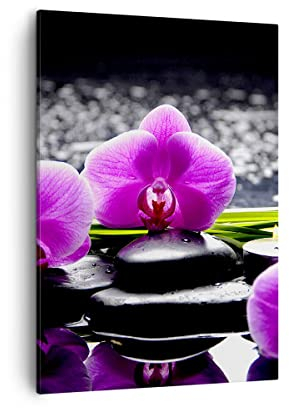 Bilder auf Leinwand Orchidee Natur Wasser Blume Leinwandbild mit Rahmen 50x70cm Wandbilder Dekoration Wohnzimmer Schlafzimmer Küche Deko Groß Wanddeko Bild Wand Kunstdruck Art Wall Canvas PA50x70-2658