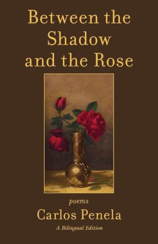 Between the Shadow and the Rose. Selected poems 2001-2024: A Bilingual Edition (English and Galician) (Poetry)