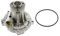 SKF VKPC 81615 Kit Bomba de aqua