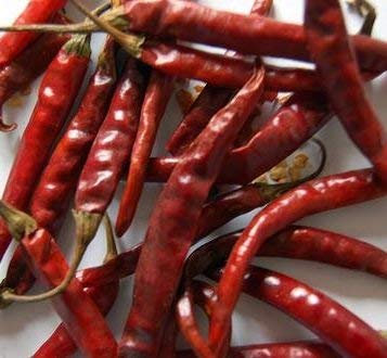 10 Semillas de PEP387 De Arbol Chile (leve a moderadamente pimiento picante)
