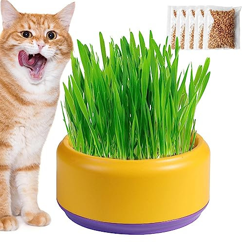Firulab Cat Grass Growing Kit, Cat Grass Bowl Planter Tray, Catnip and Bowl Cat Grass Kit with Seeds, Soil Kitten Grass Growing Kit for Cat Snacks