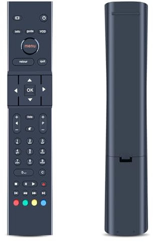 GOUYESHO Télécommande de rechange pour TV RC1974113 Orange