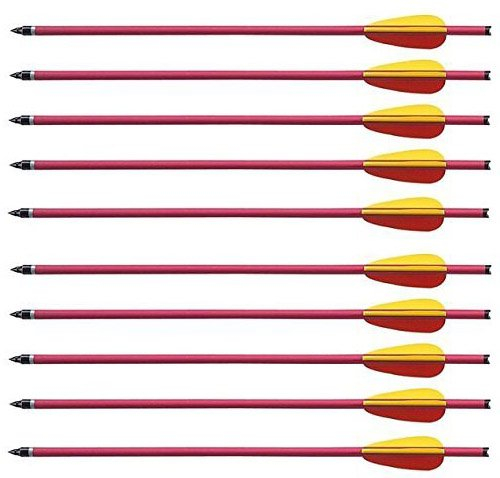 G8DS 10 Aluminium Pfeile 16'' Armbrust-Pfeil Armbrust-Bolzen