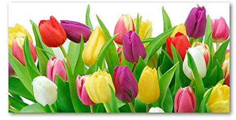 Tulup Glass Picture Wall Art - 100x50cm - Tempered Glass Decoration - Print for Living room Bedroom - Toughened Glass Image - Glass picture Wall Art - Colorful tulips