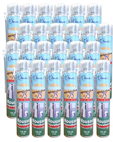 DSTOCK60 - LOT DE 24 MOUSSES EXPANSIVES MANUELLES 750ML - MOUSSE POLYURETHANE PROFESSIONNELLE - ISOLE, COLLE, REBOUCHE - EXTERIEUR ET INTERIEUR
