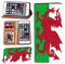 Printed Phone Case Fit iphone SE 2 (2020), iphone 6 / iphone 6S Soft Silicone TPU inner case + PU Leather Flip Wallet Stand Phone Case Cover for Apple iphone 7/ iphone 8 (Welsh flag)