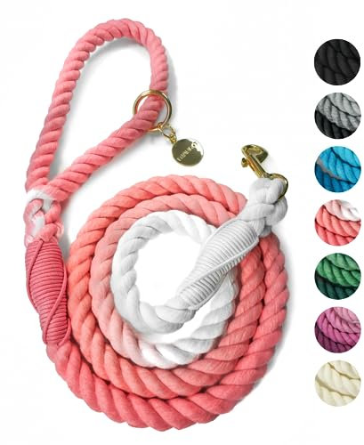 DJANGO 5FT Cotton Rope Dog Leashes - Pink Ombre Dog Rope Leash with Gold Hardware - Handcrafted Rope Leash & Puppy Leash with Whipped Ends - Heavy Duty Dog Leash Rope for Small Medium and Large Dogs