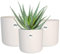 elho B.for Soft Rund - Blumentopf für Innen - 100% Recycelter Kunststoff - 3er Set - Ø 14, 16, 18 cm - Weiß/Weiss