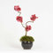 Mini Bonsai Ortensia Stabilizzata Made in Italy - Pianta Decorativa da Interno - Altezza 15 cm, Fiori Veri - Ideale come Arredo e Regalo per la Casa (Rosa Acceso)