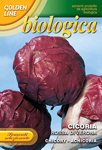 Franchi Seeds of Italy Organic Range Red Chicory of Verona Seeds