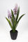 Fackellilie 45cm lila-weiß im Topf GA Kunstblumen künstliche Lilie Blumen Pflanze Kniphofia