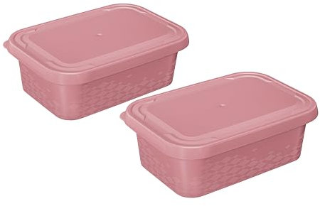 BranQ - Home essential Set von Frischhaltedosen ORI, BPA-freier Kunststoff, Pink, 2 St.