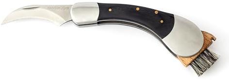 Hanseküche Coltello a fungo con spazzola – Coltello tascabile pieghevole, in acciaio inox e legno di Pakka nero, lunghezza: 200 mm, piegato: 120 mm, spazzola a funghi