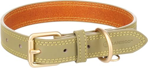 Flamingo Halsband für Hund Virginia grün M/L 38-48cm 25mm - Mit einem Ring für ID-Anhänger - Genäht für extra Stärke