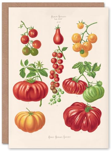 Artery8 Ernst Benary Art Card Tomatoes or Love Apples Vintage Botanical
