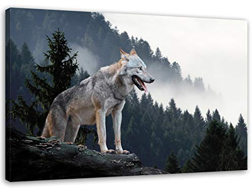 Feeby Bilder Wolf 120x80 cm 1 Teilig Wohnzimmer Schlafzimmer Büro Flur Küche Wandbilder Leinwandbilder Modern Bild auf Leinwand Wanddekoration Kunstdruck Design Natur Grau