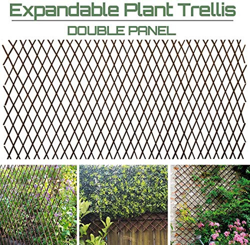Sumery Nature - Enrejado extensible de sauce para plantas de escalada de celosía extensible para plantas trepadoras, 36 x 92 pulgadas, doble panel (2, valla de mimbre de sauce)