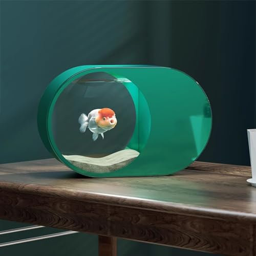 MegLob Acuario Acrílico Moderno, Acuario De Plexiglás HD, Tanque De Pescado Transparente Verde, Oficina De Escritorio 13L/RV Acuario, No Se Requiere Cambio De Agua