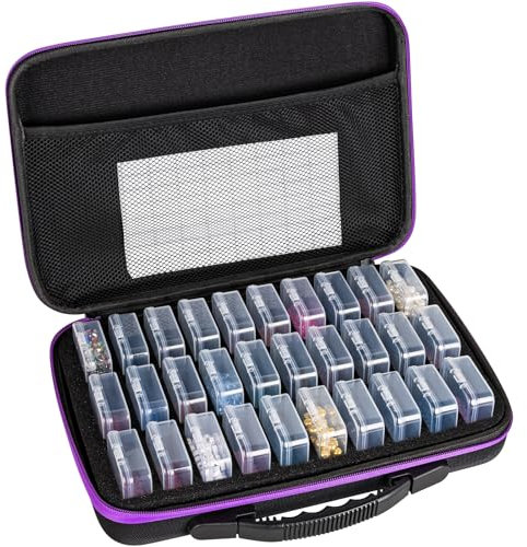 RONGLAIJIN 30 Slots Bead Storage Boxes, Portable Diamond Art Storage Boxes, Small Rectangular Storage Containers with Hinged Lids for Beads Seeds Jewelry Rhinestones Crafts Small Items (1Pack)