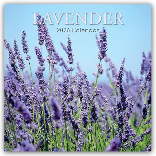 Lavender – Lavendel 2026 – 16-Monatskalender: Original Gifted Stationery-Kalender [Mehrsprachig] [Kalender] (Wall-Kalender)
