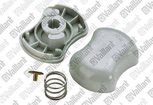 Vaillant