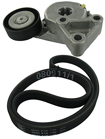 SKF VKMA 31204 Kit de correa multi-V